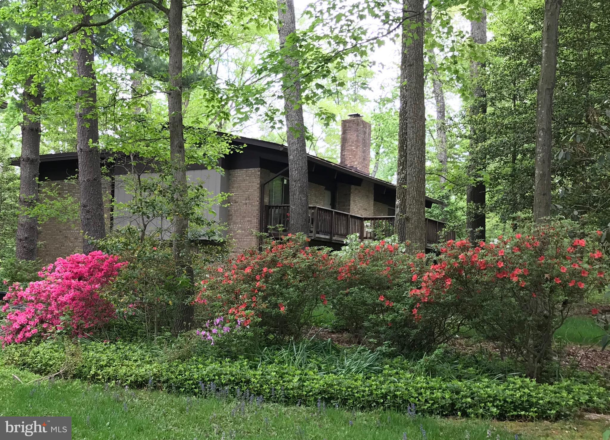 2529 Trophy Lane Reston, VA 20191 - Photo 55 of 69 a view of a house with a lot of flower plants