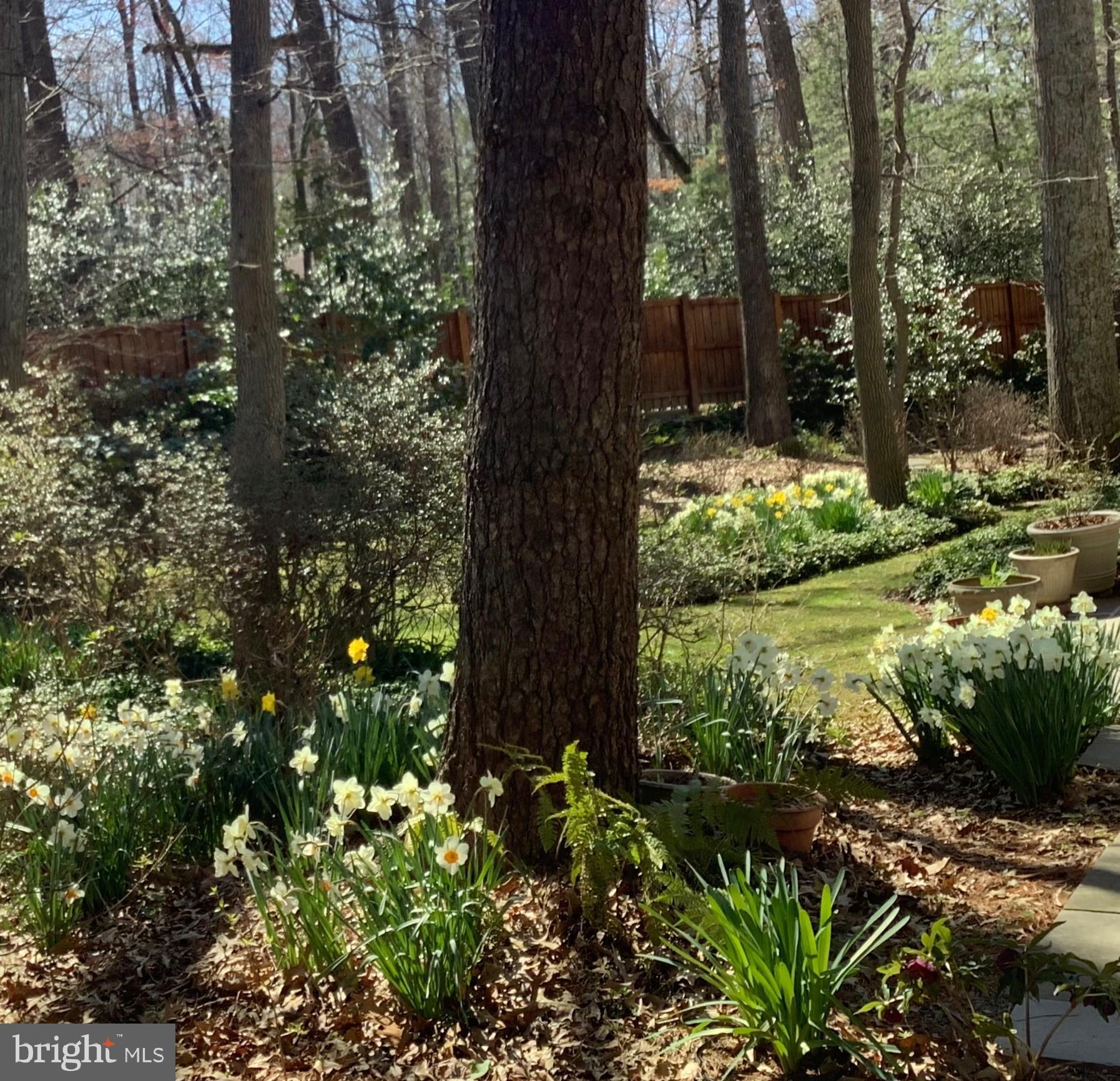 2529 Trophy Lane Reston, VA 20191 - Photo 56 of 69 a view of a garden