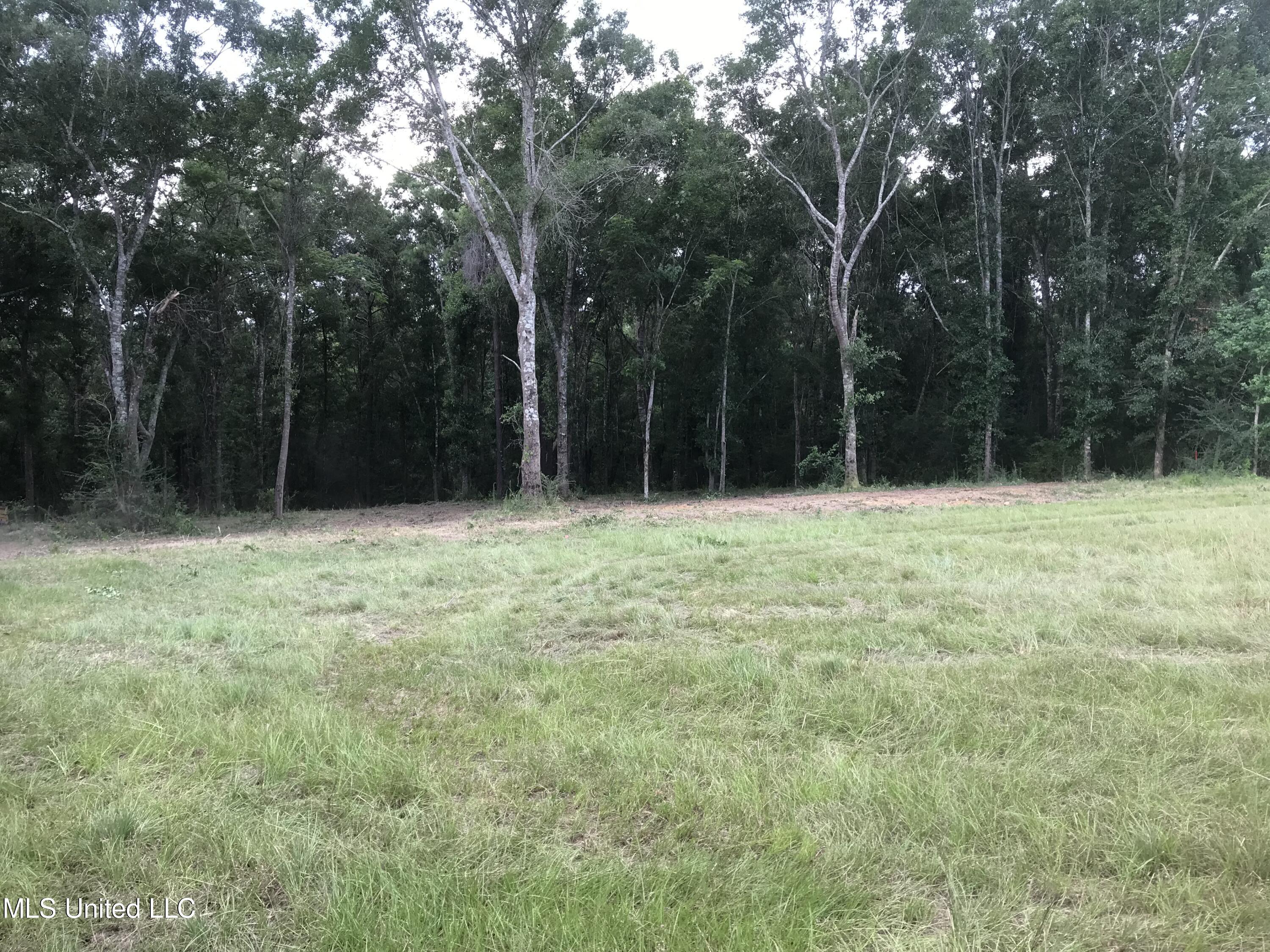10440 Possum Fork Road Picayune, MS 39466 - Photo 3 of 5 IMG_6591