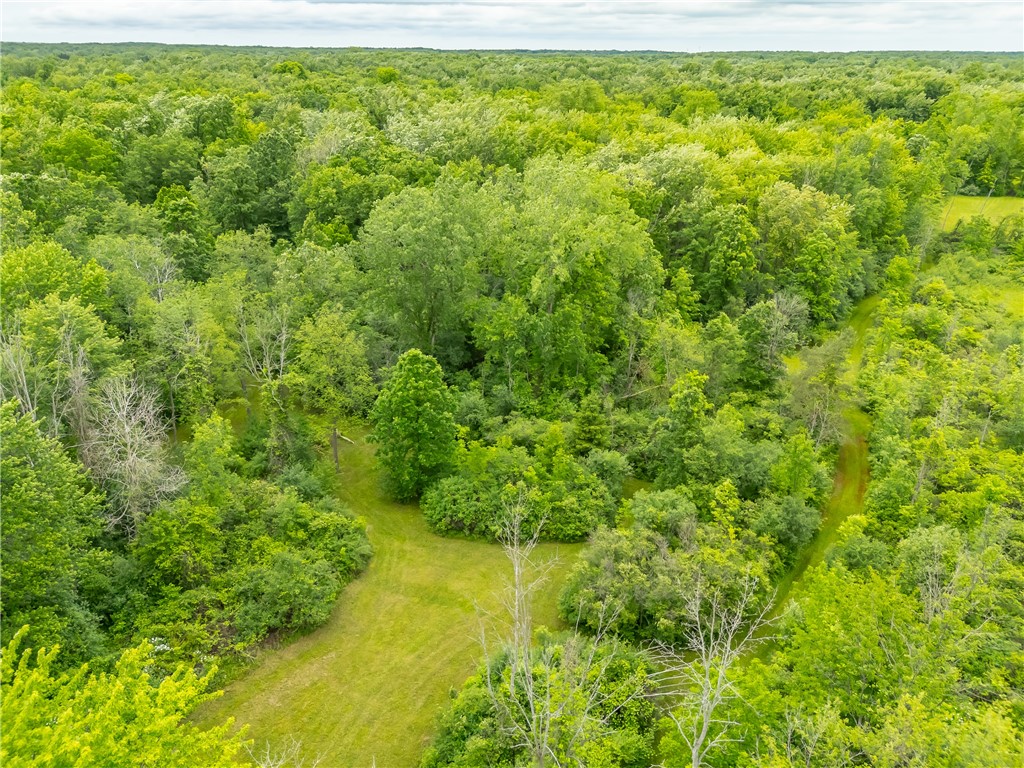 894 Ladue Road Sweden, NY 14420 - Photo 8 of 15