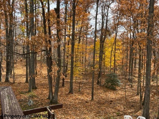 1509 Browning Road Rock Cave, WV 26234 - Photo 7 of 26 Gallery Image 7