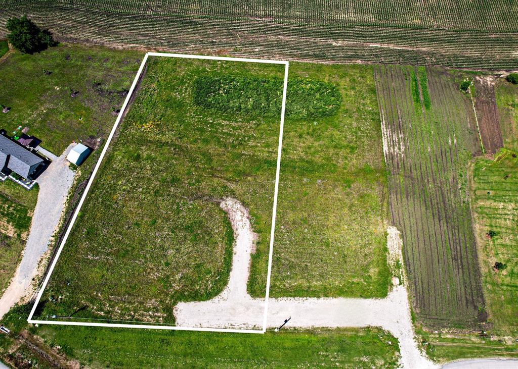 Lot 2 Mccartney Trail Whitewright, TX 75491 - Photo 3 of 8 a view of a yard