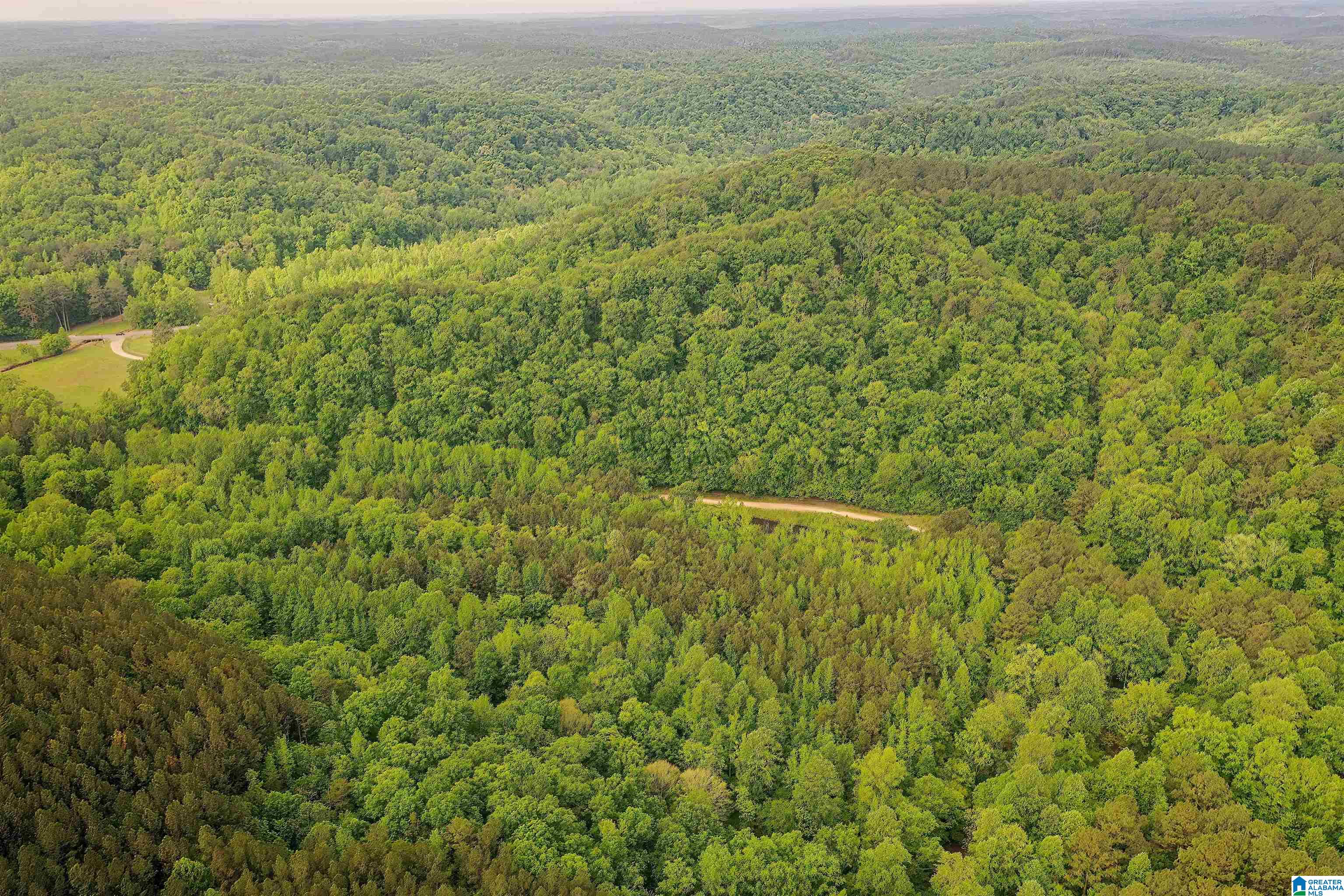 0 Wolf Creek Road Carbon Hill, AL 35549 - Photo 11 of 29