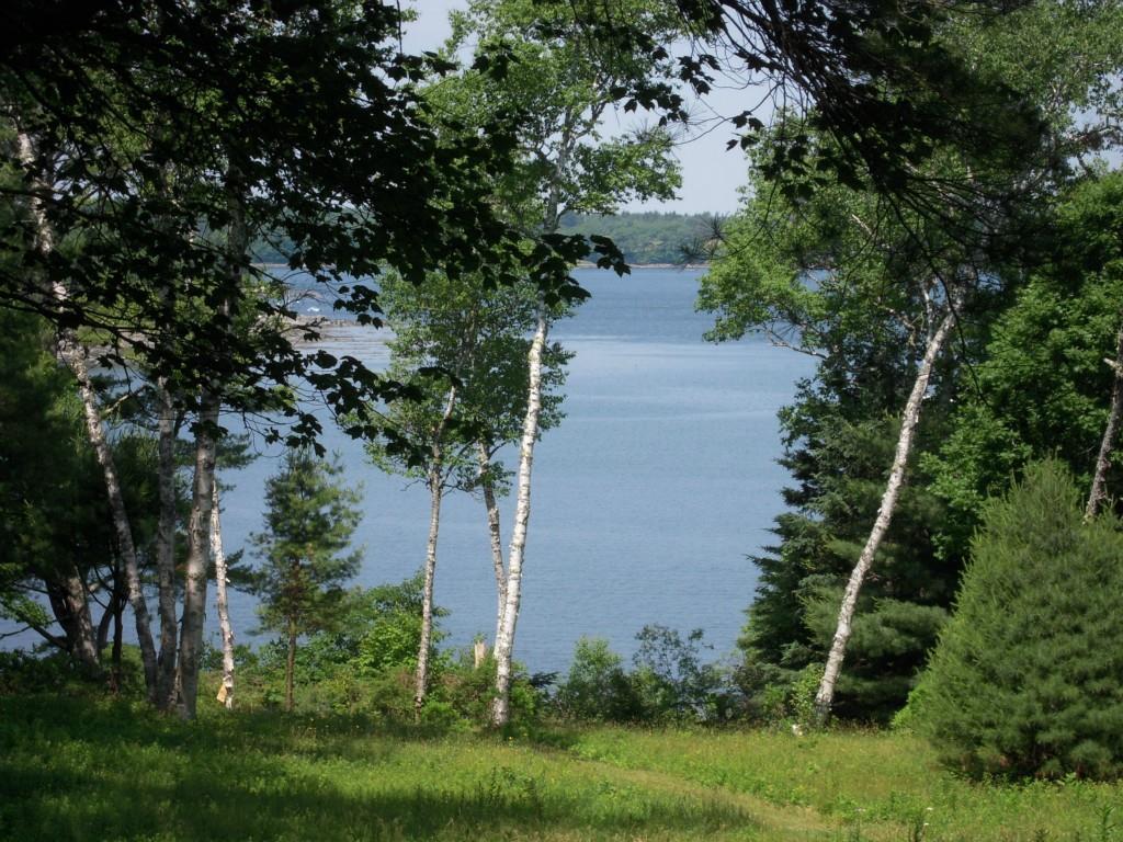 320 Wallston Road Tenants Harbor, ME 04860 - Photo 24 of 25 Another shore view