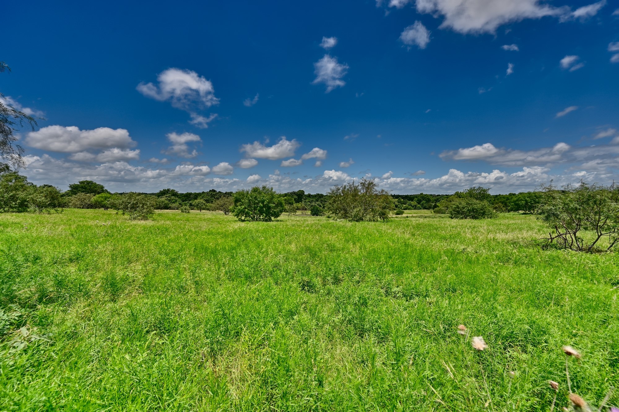 5208 Mensik Road Schulenburg, TX 78956 - Photo 34 of 34 Pastures