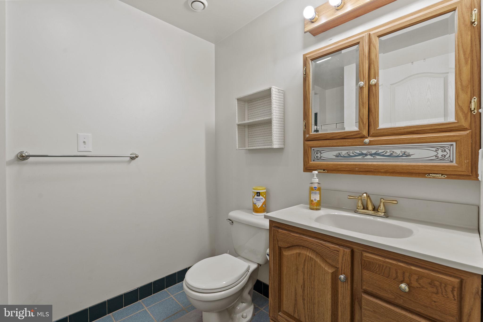 2652 Cameron Way Frederick, MD 21701 - Photo 25 of 32 Basement Bathroom