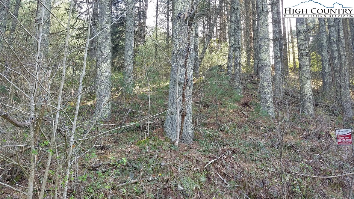 Lot 6 Edna Perry Road Crumpler, NC 28617 - Photo 8 of 8 Gallery Image 8
