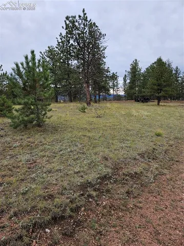 $100,000 | 208 Eaglecrest Drive, Florissant, CO 80816