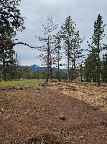 $100,000 | 208 Eaglecrest Drive, Florissant, CO 80816