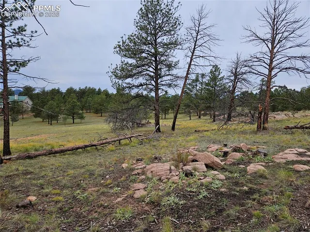 $100,000 | 208 Eaglecrest Drive, Florissant, CO 80816