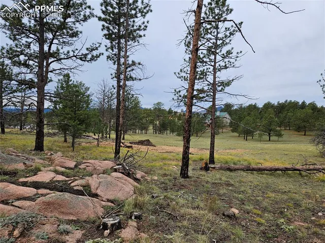$100,000 | 208 Eaglecrest Drive, Florissant, CO 80816