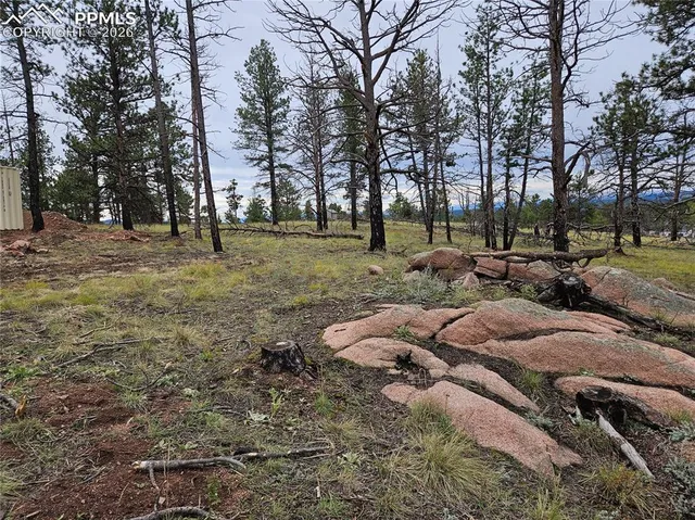 $100,000 | 208 Eaglecrest Drive, Florissant, CO 80816