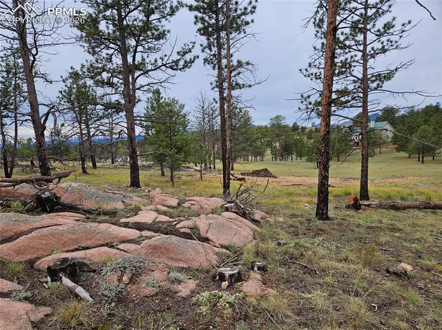 $100,000 | 208 Eaglecrest Drive, Florissant, CO 80816
