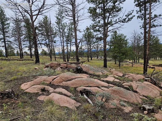 $100,000 | 208 Eaglecrest Drive, Florissant, CO 80816