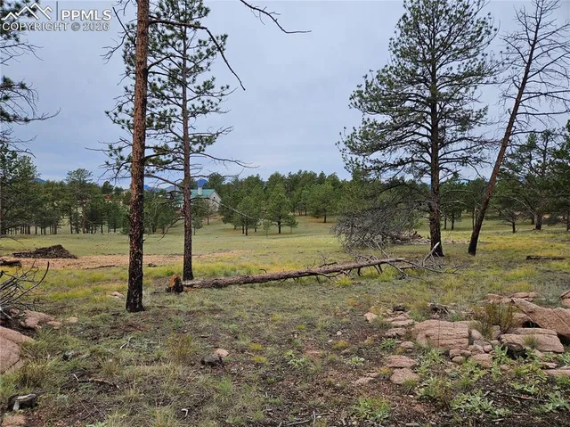 $100,000 | 208 Eaglecrest Drive, Florissant, CO 80816