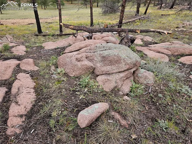 $100,000 | 208 Eaglecrest Drive, Florissant, CO 80816