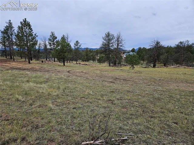 $100,000 | 208 Eaglecrest Drive, Florissant, CO 80816