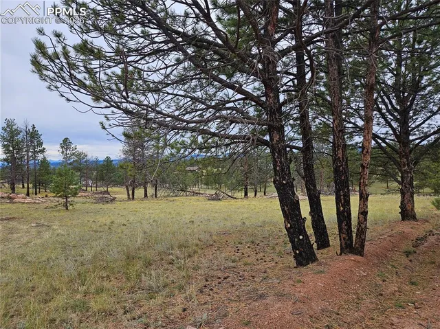 $100,000 | 208 Eaglecrest Drive, Florissant, CO 80816