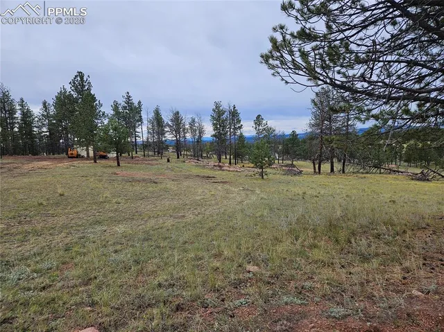 $100,000 | 208 Eaglecrest Drive, Florissant, CO 80816
