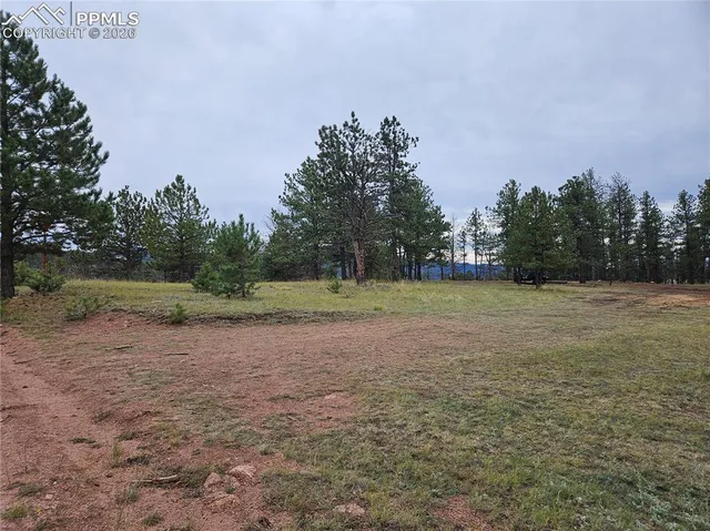 $100,000 | 208 Eaglecrest Drive, Florissant, CO 80816