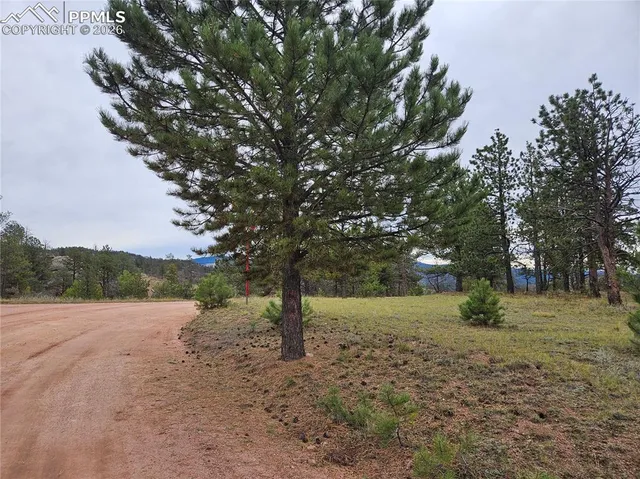 $100,000 | 208 Eaglecrest Drive, Florissant, CO 80816
