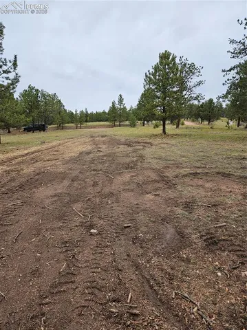 $100,000 | 208 Eaglecrest Drive, Florissant, CO 80816