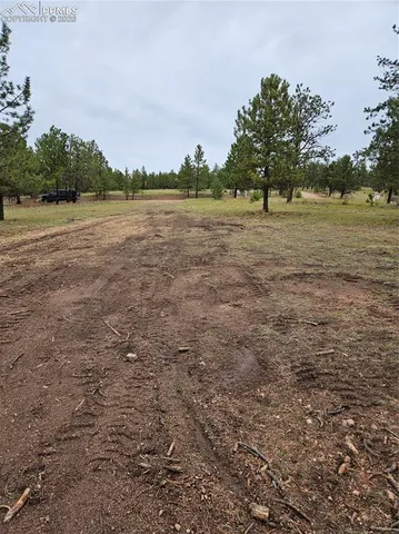 $100,000 | 208 Eaglecrest Drive, Florissant, CO 80816