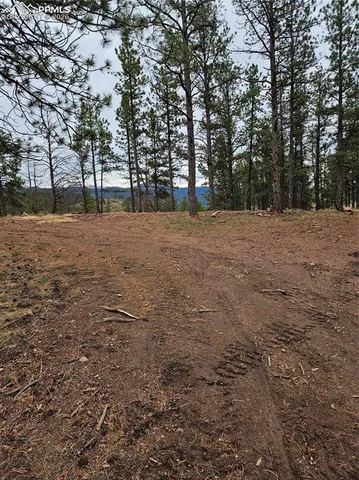 $100,000 | 208 Eaglecrest Drive, Florissant, CO 80816