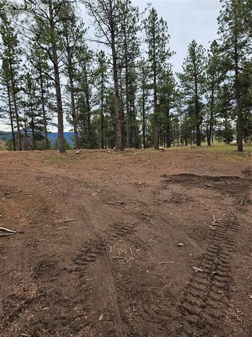 $100,000 | 208 Eaglecrest Drive, Florissant, CO 80816