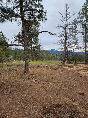 $100,000 | 208 Eaglecrest Drive, Florissant, CO 80816