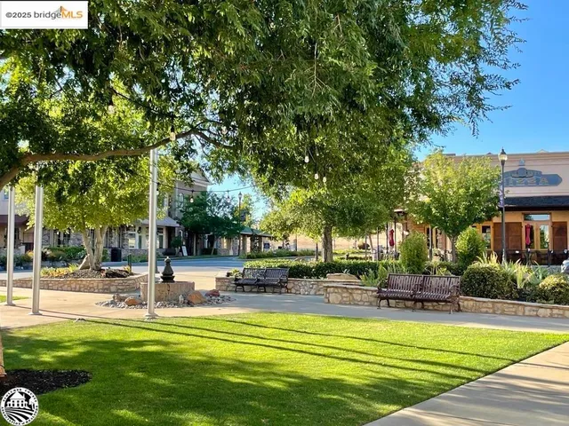 a view of a swimming pool with lawn chairs and plants