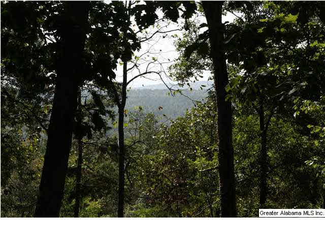 1040 Lynch Lake Road Odenville, AL 35120 - Photo 30 of 30