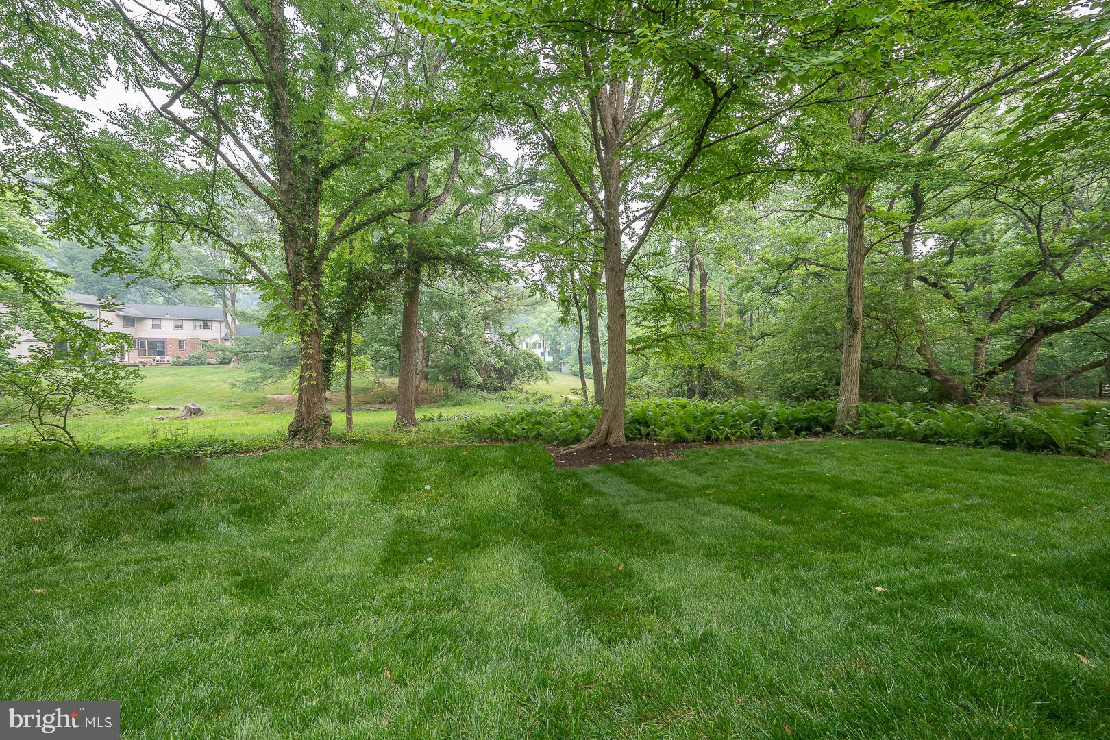 187 South Spring Mill Road Villanova, PA 19085 - Photo 53 of 53 a view of a lush green space