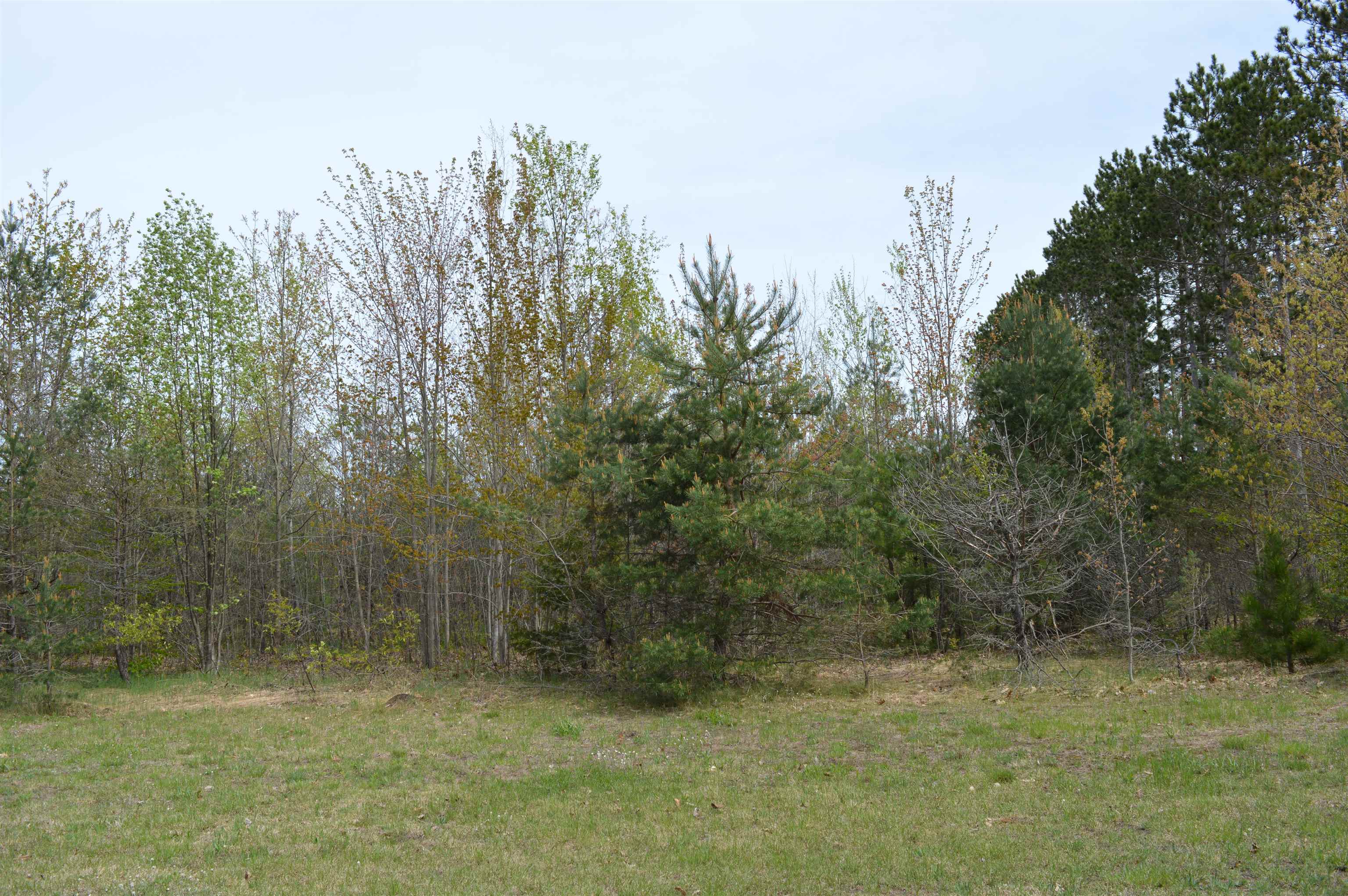 Spencer Road Kalkaska, MI 49646 - Photo 8 of 10 1933995-f014dcbb-df76-468b-a45a-a1f307b53c4e.JPG