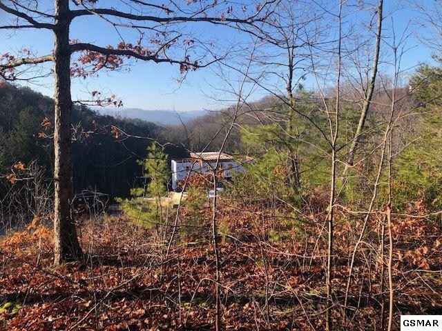 116 Summit Trails Drive Sevierville, TN 37862 - Photo 2 of 13