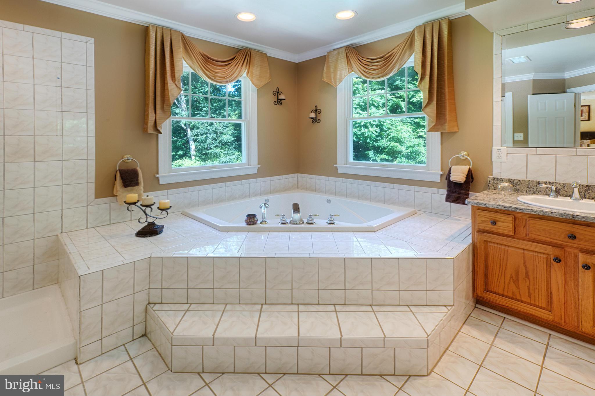 3262 Ady Road Street, MD 21154 - Photo 9 of 30 Bath (Master)