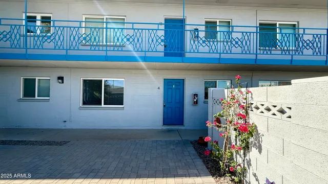 a kitchen with granite countertop a white cabinets and a potted plant