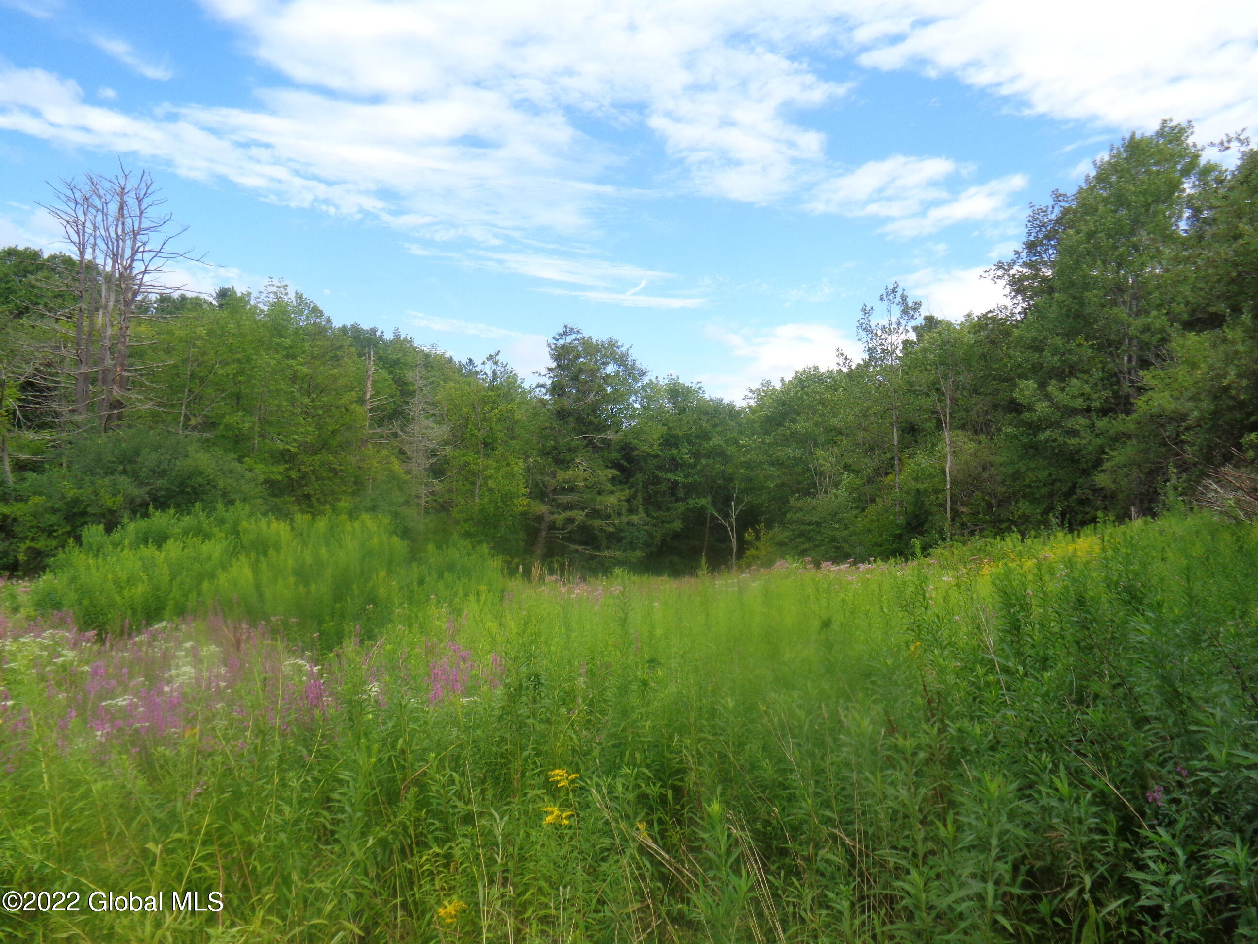 3355 Galway Road Ballston Spa, NY 12020 - Photo 30 of 48 DSC00271