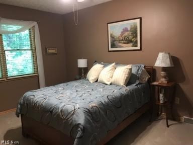 2336 Hunters Ridge Youngstown, OH 44512 - Photo 21 of 29 Gallery Image 21