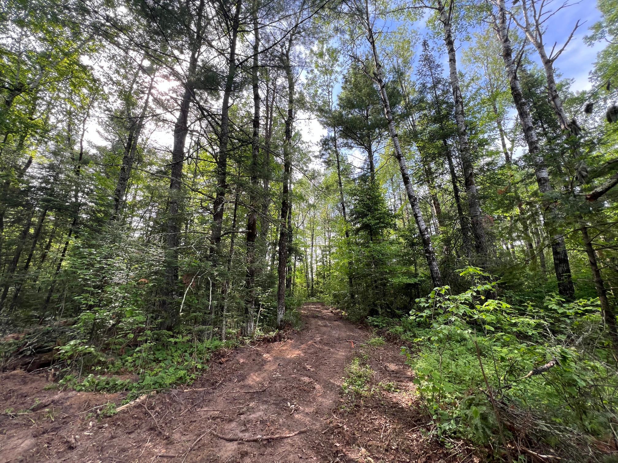 Lot 1 Smith Road North Couderay, WI 54828 - Photo 20 of 29