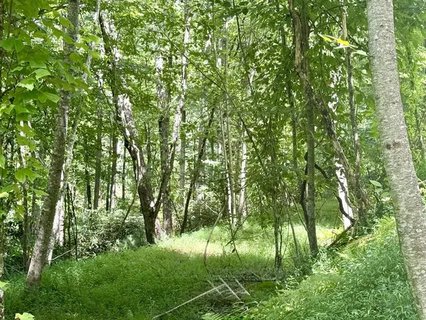 $49,000 | Lot 7 Wild Laurel, Brasstown, NC 28902