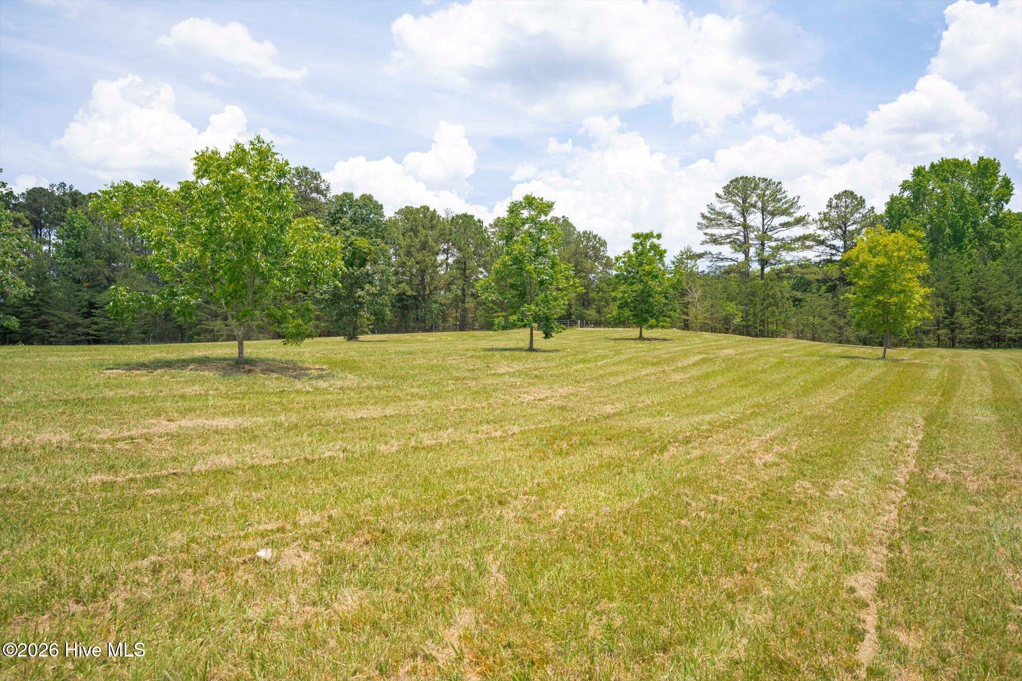 153 Barksdale Ferry Road McCormick, SC 29835 - Photo 70 of 91 Pasture Land