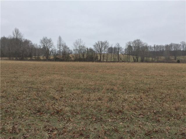 173 Marston Road Leoma, TN 38468 - Photo 17 of 20