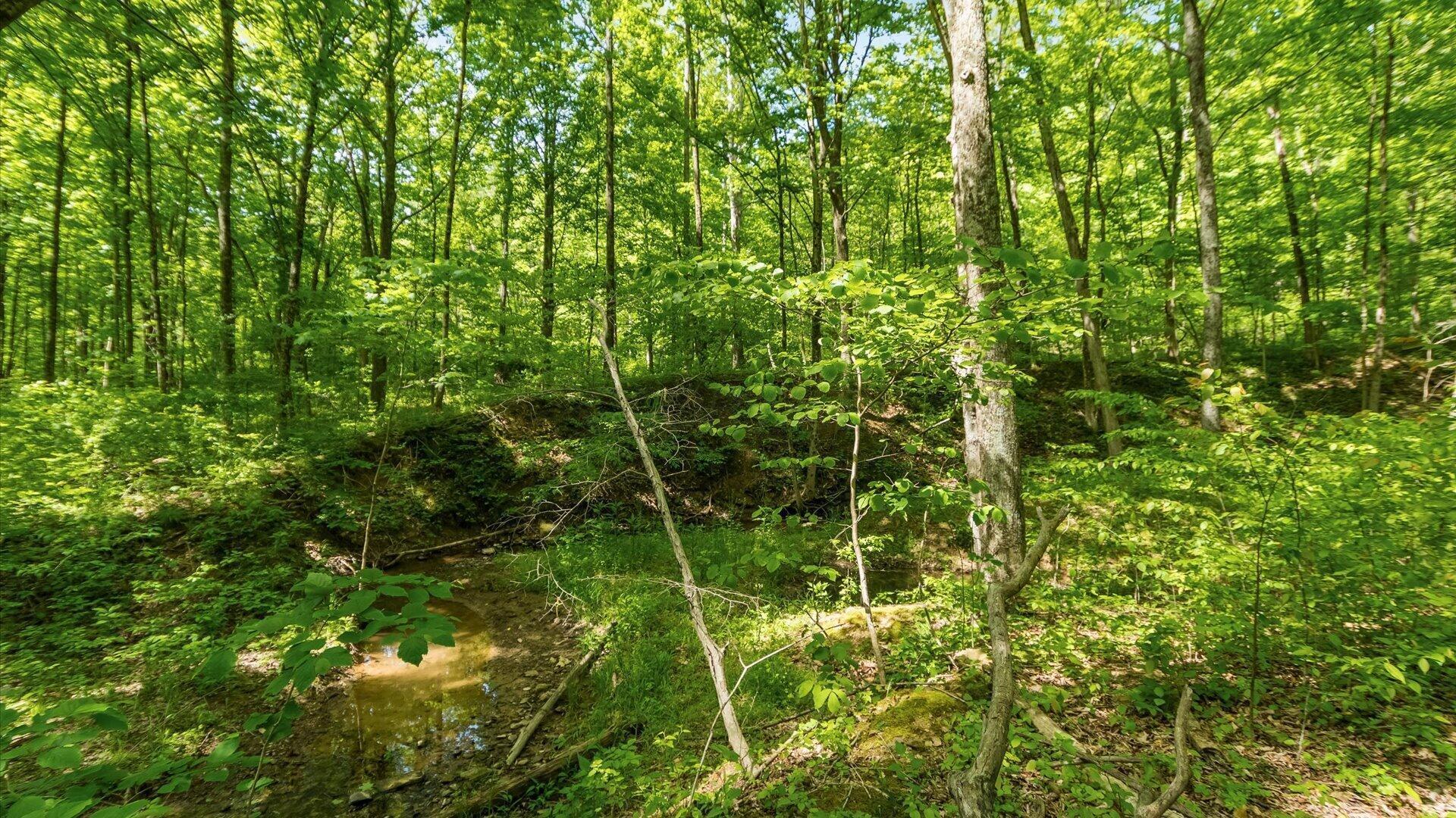 50583 Roy Miles Road Sarahsville, OH 43779 - Photo 20 of 27 17-zj 50583 Roy Miles Rd078a