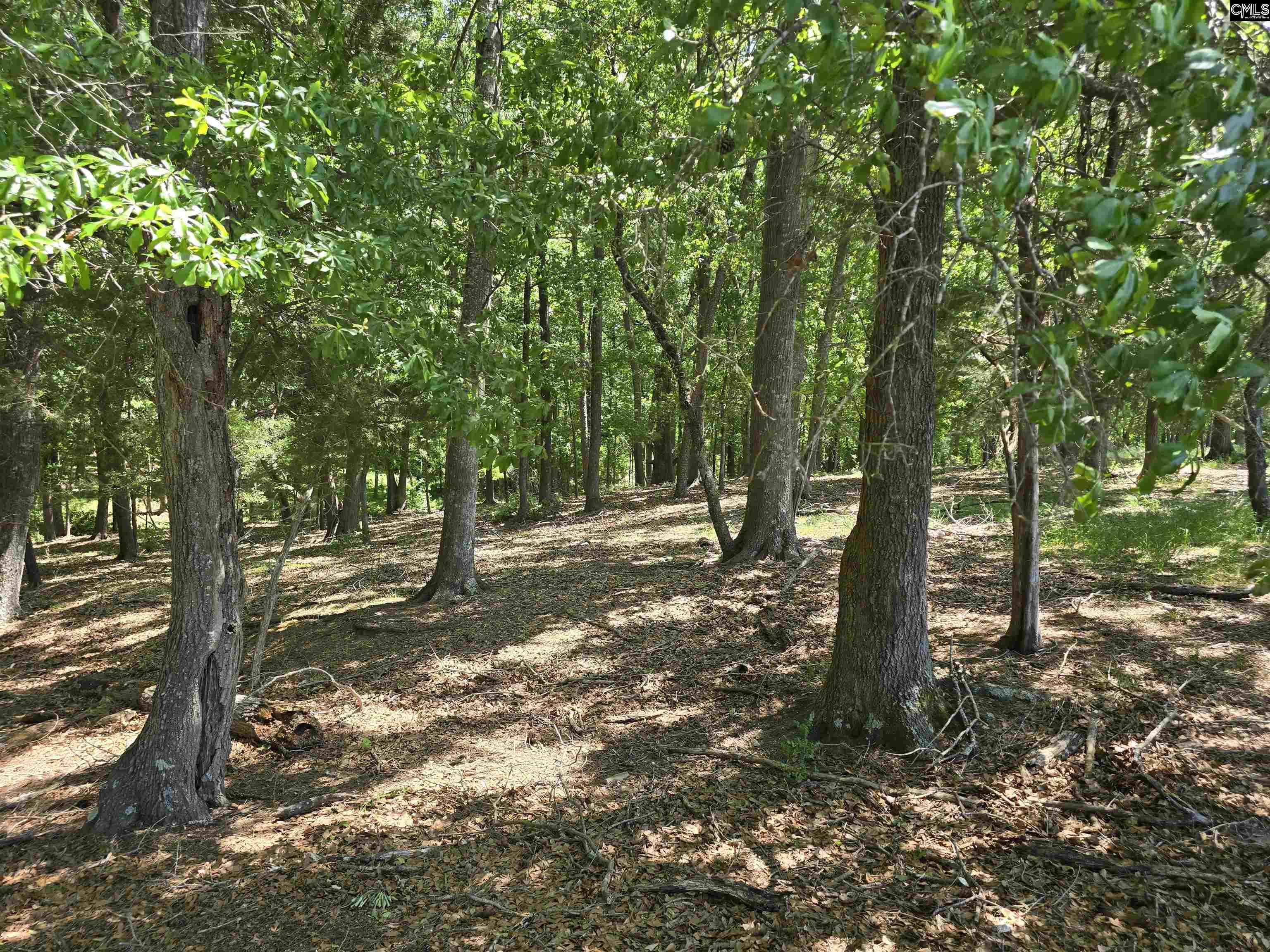 542 Pea Ridge Highway Jonesville, SC 29353 - Photo 40 of 72