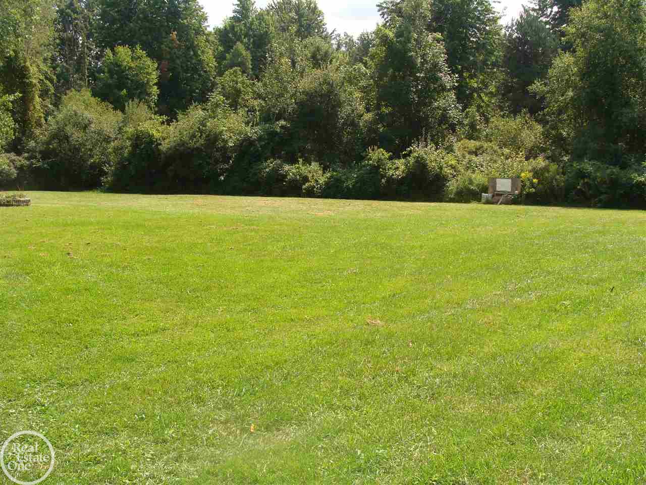 7773 Bean Road Avoca, MI 48006 - Photo 4 of 20