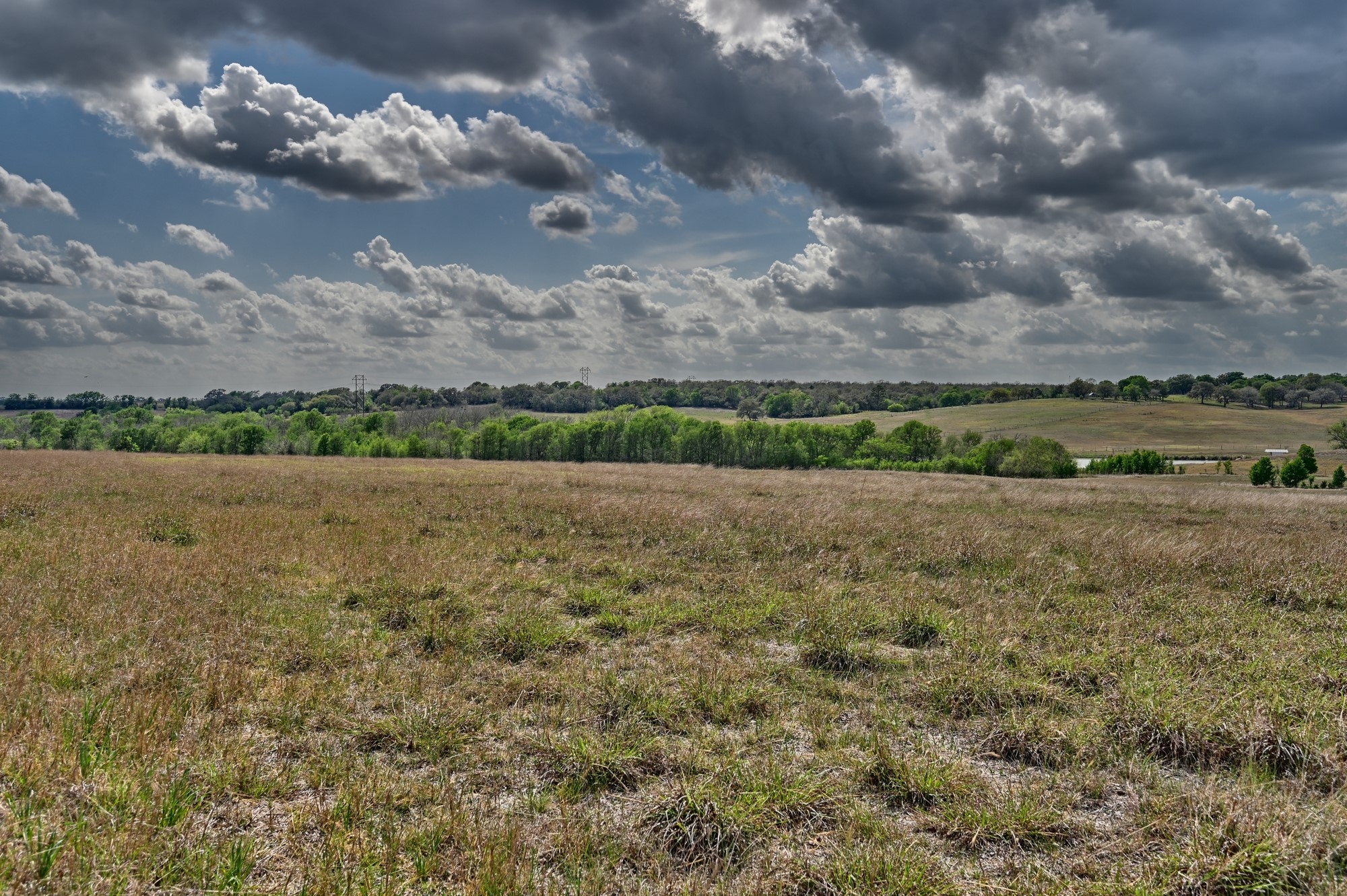 3219 Fritsch Road La Grange, TX 78945 - Photo 18 of 22 Mid Pasture