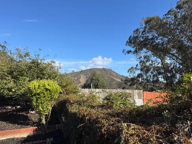 a view of a yard with a tree
