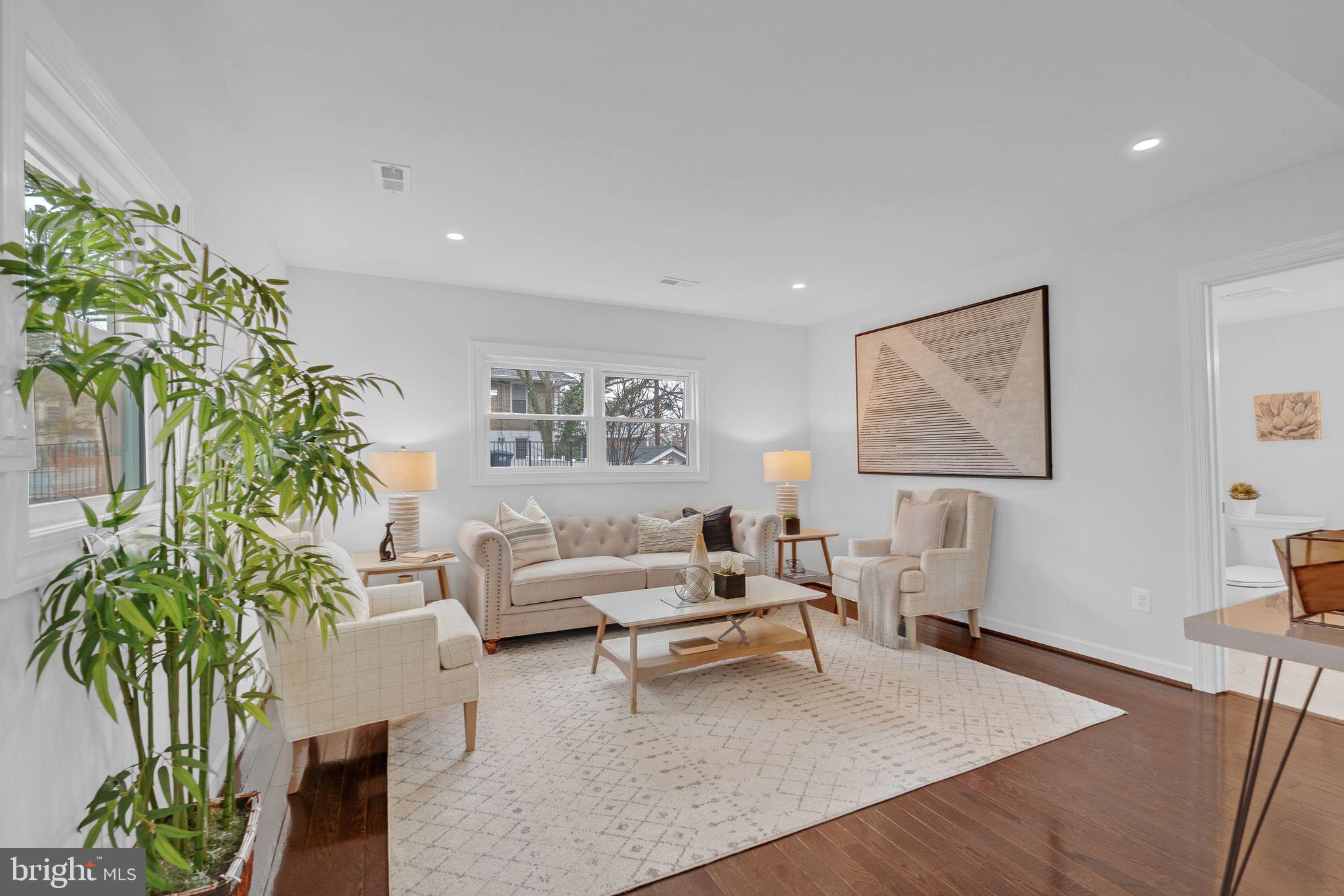 3009 20th Street Northeast Washington, DC 20018 - Photo 15 of 24 a living room with furniture and a potted plant