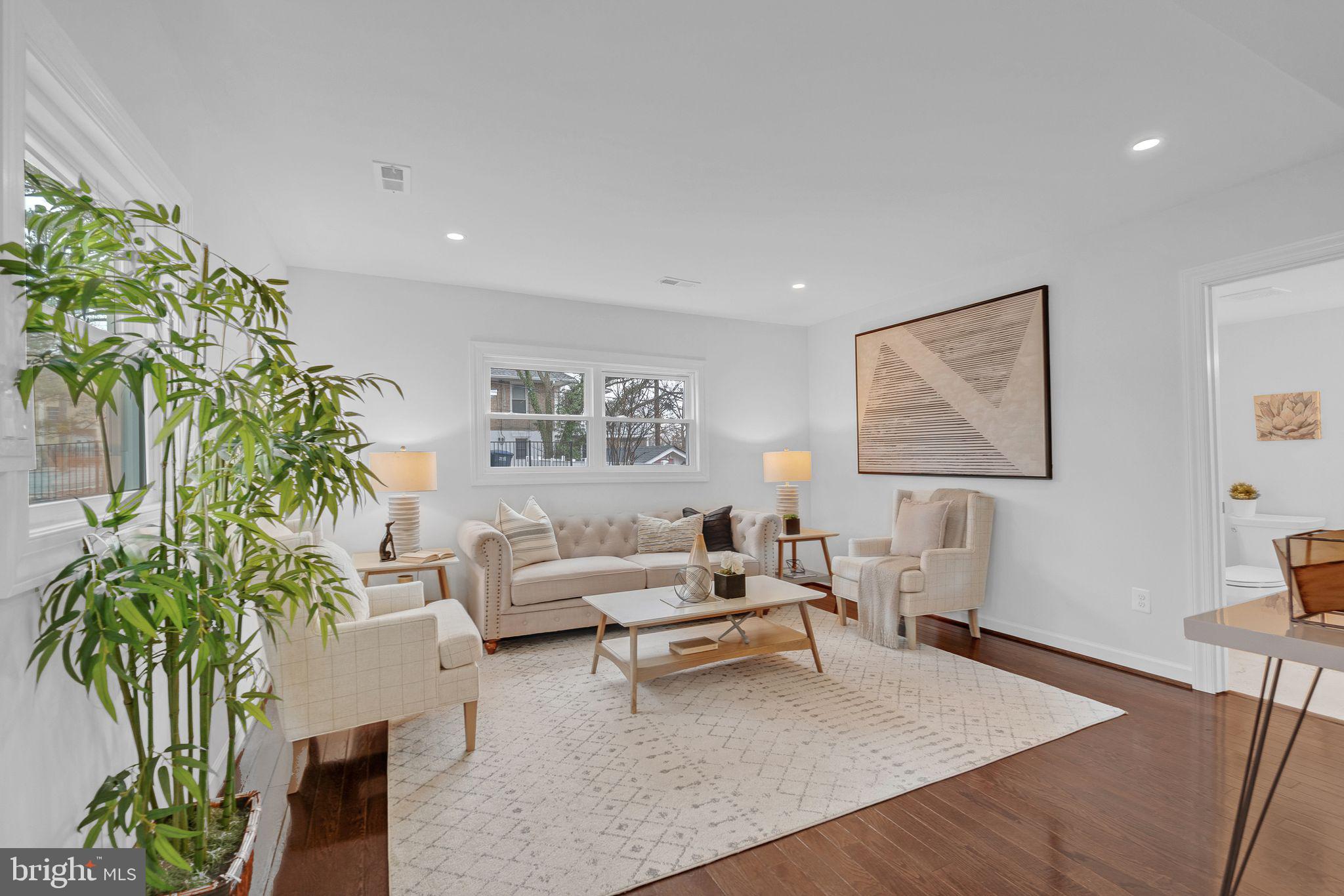 3009 20th Street Northeast Washington, DC 20018 - Photo 23 of 24 a living room with furniture and a potted plant